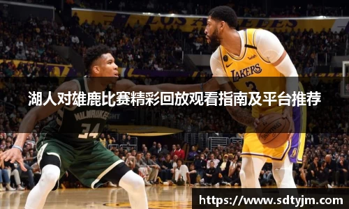 湖人对雄鹿比赛精彩回放观看指南及平台推荐